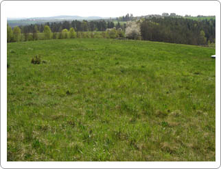 Deponie Greiz- Gommla