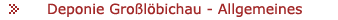 Deponie Gro�l�bichau - Allgemeines
